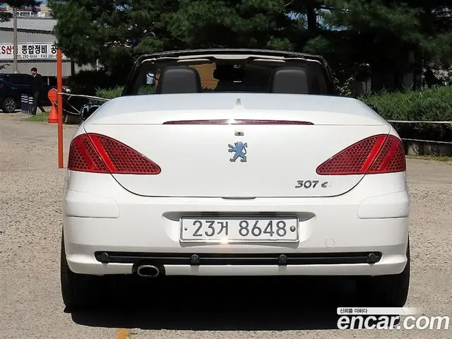 Peugeot 307 2007 1.6 АКПП, миниатюра 8