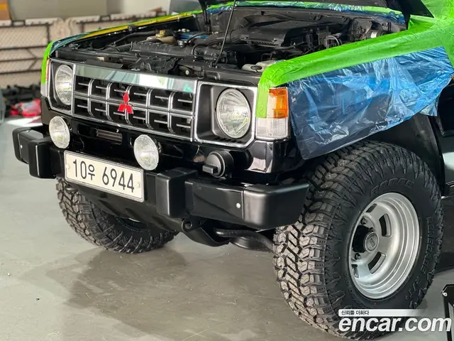 Hyundai Galloper 1996 2.5 АКПП, миниатюра 6