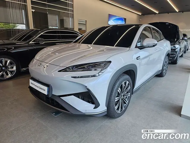 BYD Sealion 7, 2025, 8 200 км