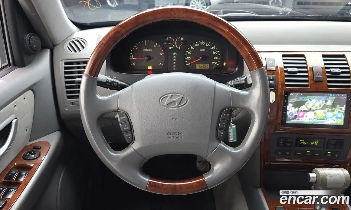 Hyundai Terracan 2004 2.9 АКПП, фото 13