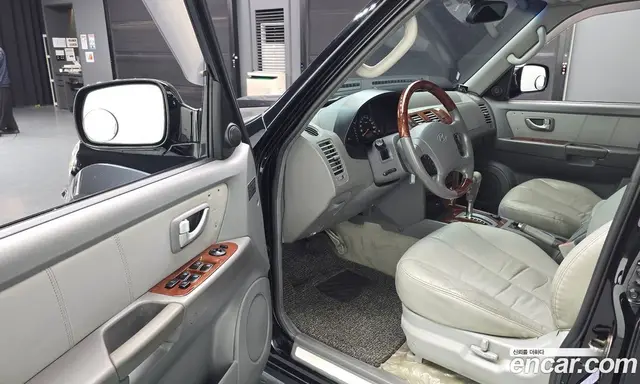Hyundai Terracan 2004 2.9 АКПП, миниатюра 10