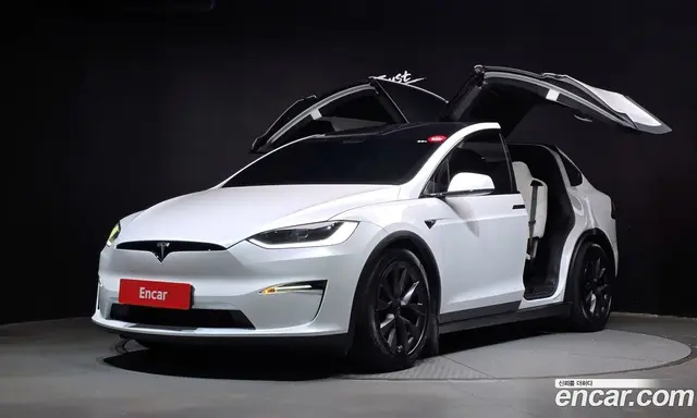 Tesla Model X, 2024, 52 650 км