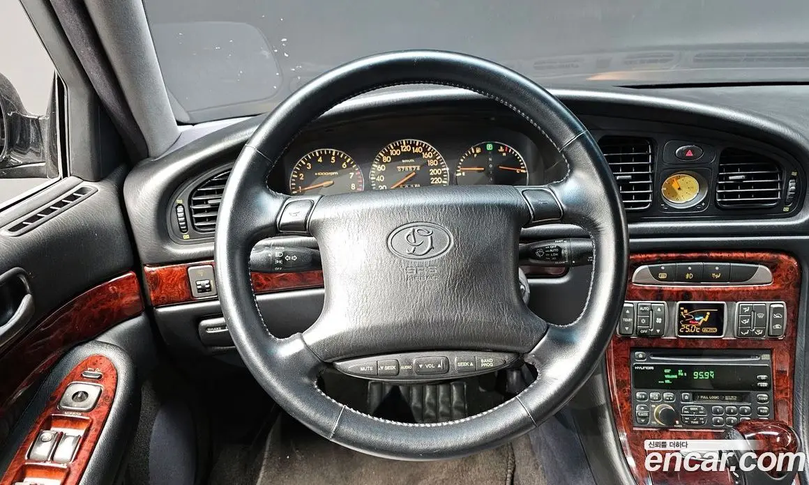 Hyundai Dynasty 1997 2.5 АКПП, фото 13