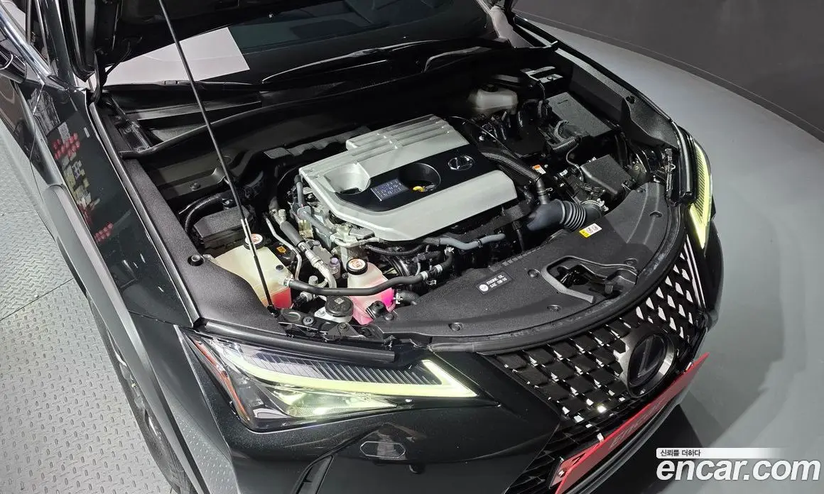 Lexus UX 2019 2.0 АКПП, фото 6 Lexus UX 2019 2.0 АКПП, фото 6