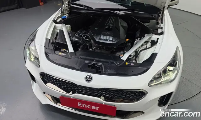 Kia Stinger 2017 2.0 АКПП, миниатюра 6 Kia Stinger 2017 2.0 АКПП, миниатюра 6