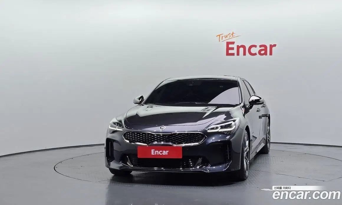 Kia Stinger 2019 2.0 АКПП, фото 3 Kia Stinger 2019 2.0 АКПП, фото 3