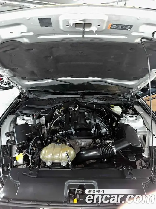 Ford Mustang 2015 2.3 АКПП, фото 15
