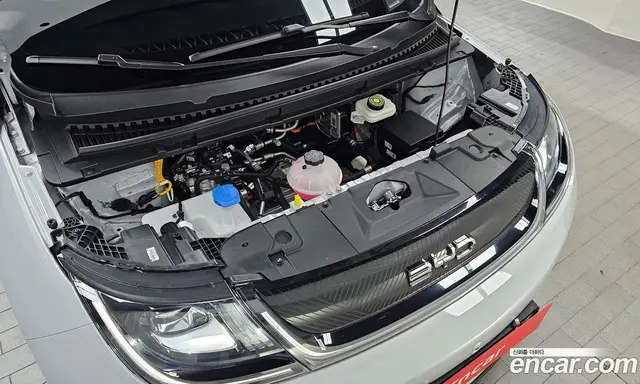 BYD Dolphin 2026 0.1 АКПП, миниатюра 5 BYD Dolphin 2026 0.1 АКПП, миниатюра 5