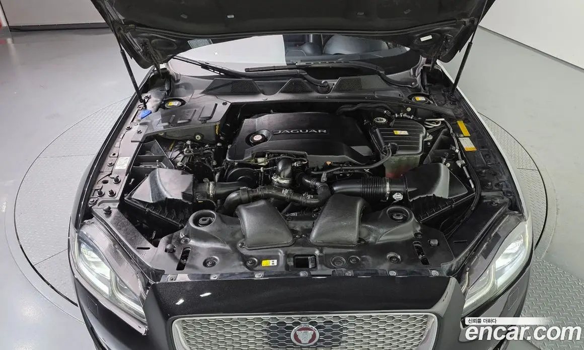 Jaguar XJ 2016 3.0 АКПП, фото 6