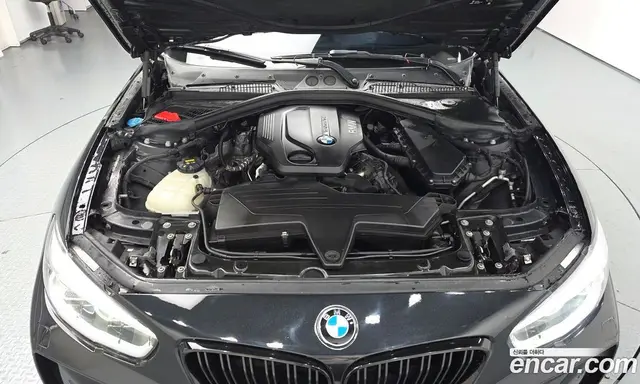 BMW 1 серия 2017 2.0 АКПП, миниатюра 6 BMW 1 серия 2017 2.0 АКПП, миниатюра 6