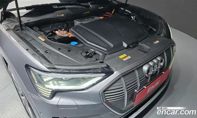 Audi e-tron 2021 0.2 АКПП, миниатюра 6
