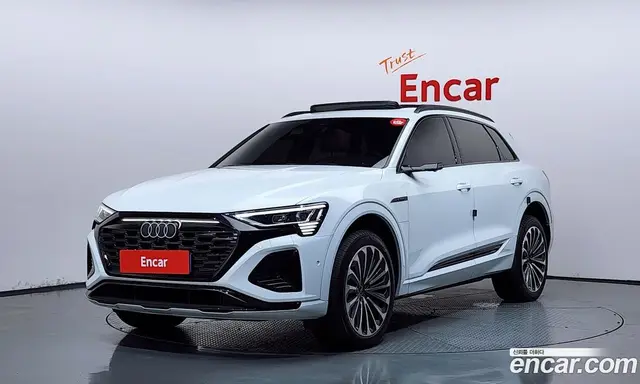 Audi Q8 e-tron, 2024, 13 362 км