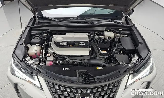 Lexus UX 2019 2.0 АКПП, миниатюра 6