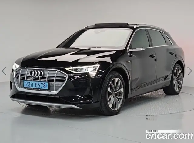 Audi e-tron, 2021, 231 121 км