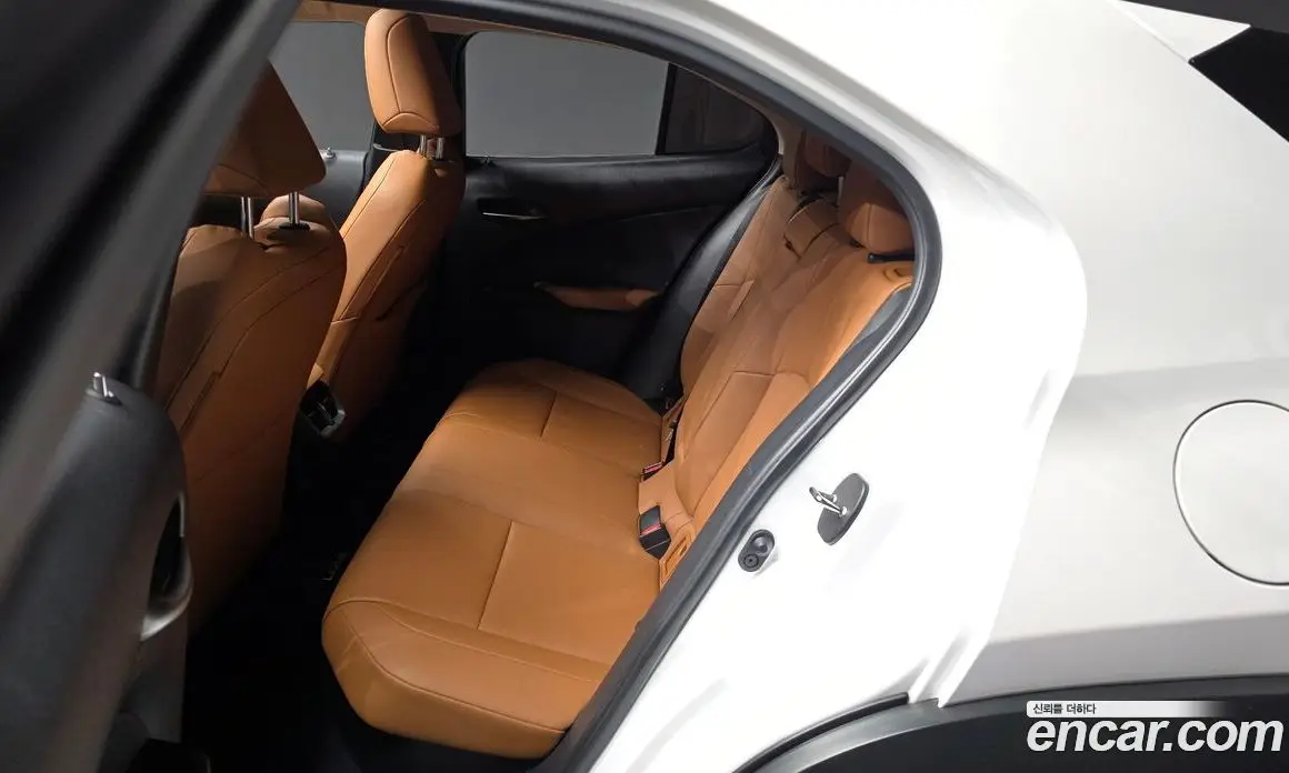 Lexus UX 2019 2.0 АКПП, фото 15