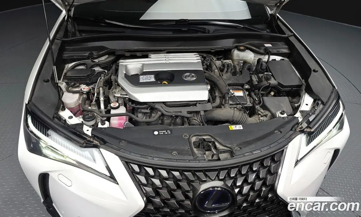 Lexus UX 2019 2.0 АКПП, фото 5
