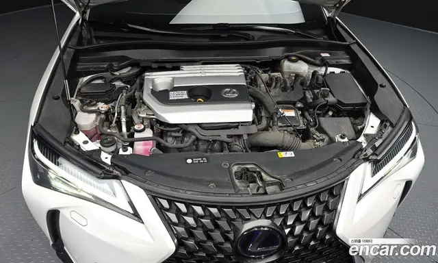 Lexus UX 2019 2.0 АКПП, миниатюра 5