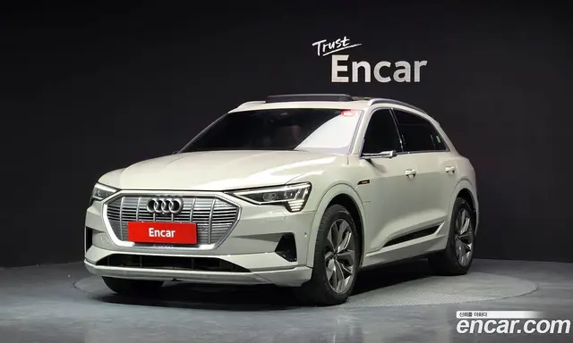 Audi e-tron, 2020, 269 877 км