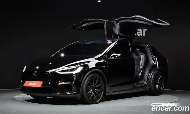 Tesla Model X, 2023, 81 228 км