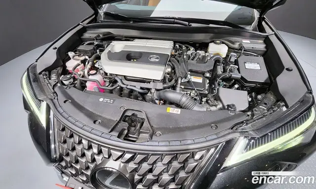 Lexus UX 2023 2.0 АКПП, миниатюра 6