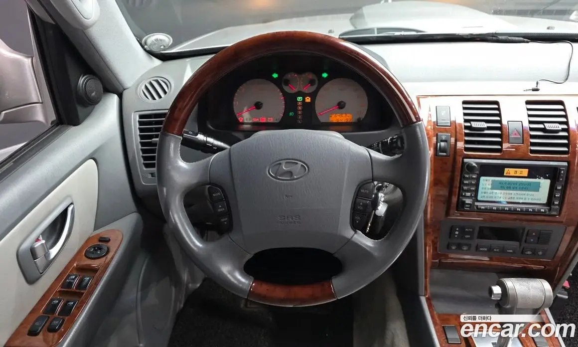 Hyundai Terracan 2004 2.9 АКПП, фото 19