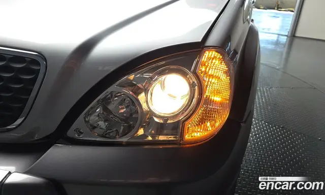 Hyundai Terracan 2004 2.9 АКПП, миниатюра 8