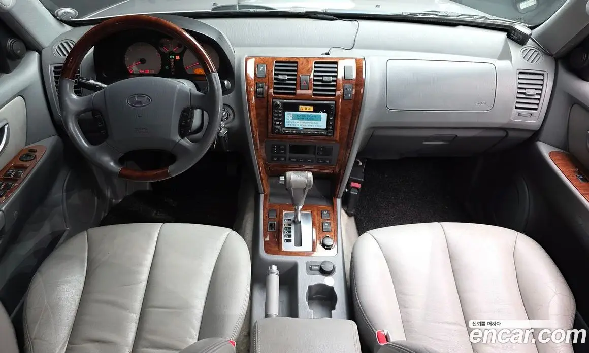 Hyundai Terracan 2004 2.9 АКПП, фото 10