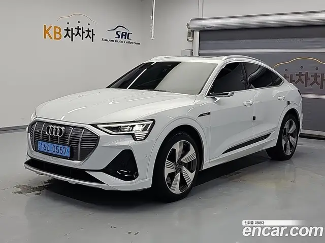Audi e-tron, 2022, 102 253 км
