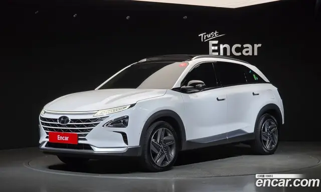 Hyundai Nexo, 2021, 143 700 км