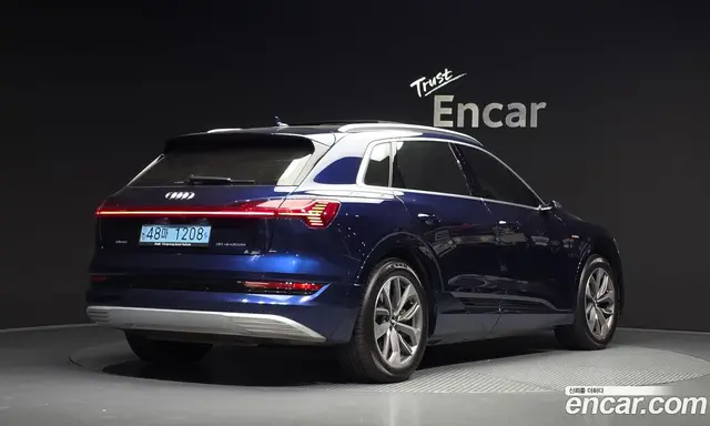 Audi e-tron, 2020, 124 522 км