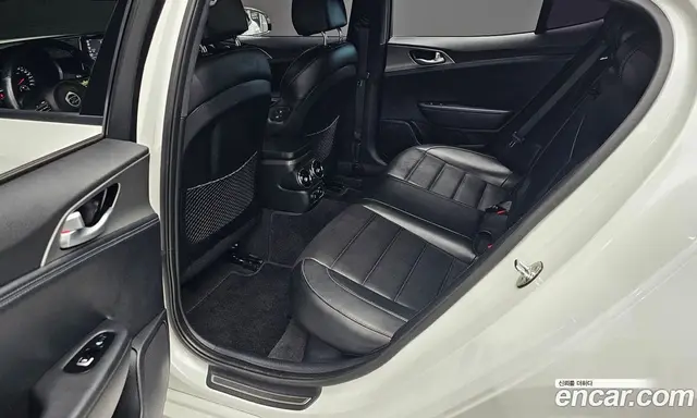 Kia Stinger 2019 2.0 АКПП, миниатюра 12