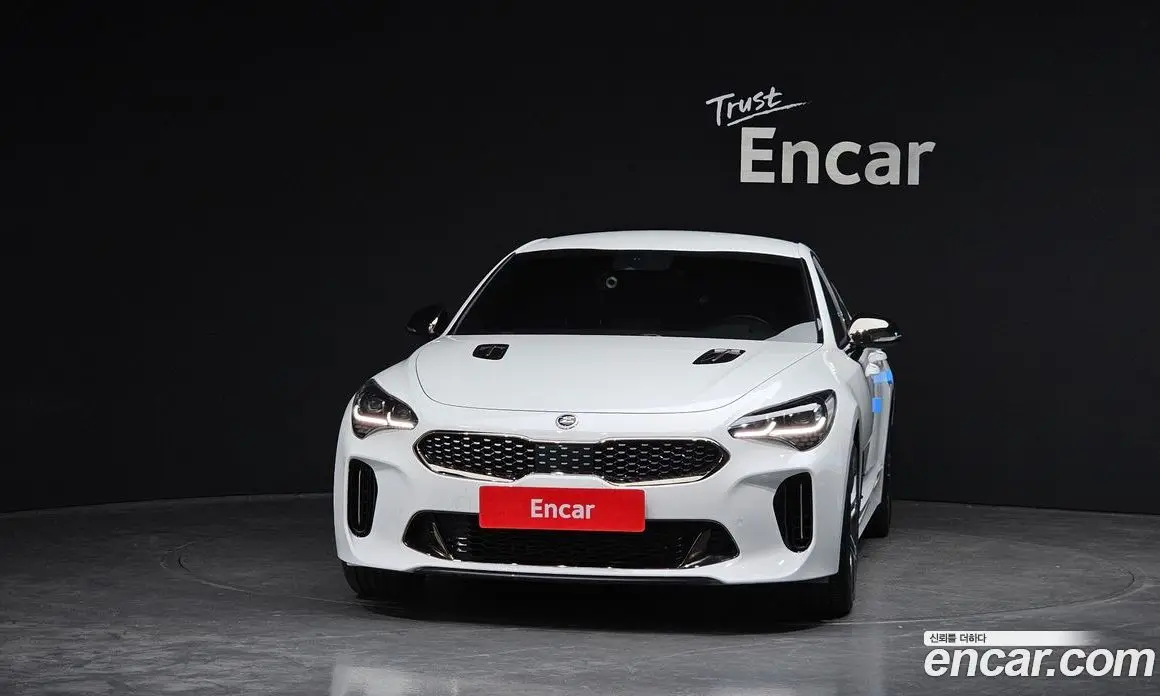 Kia Stinger 2019 2.0 АКПП, фото 3
