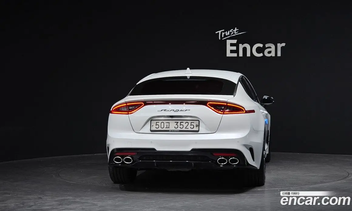 Kia Stinger 2019 2.0 АКПП, фото 4