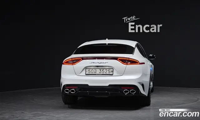 Kia Stinger 2019 2.0 АКПП, миниатюра 4