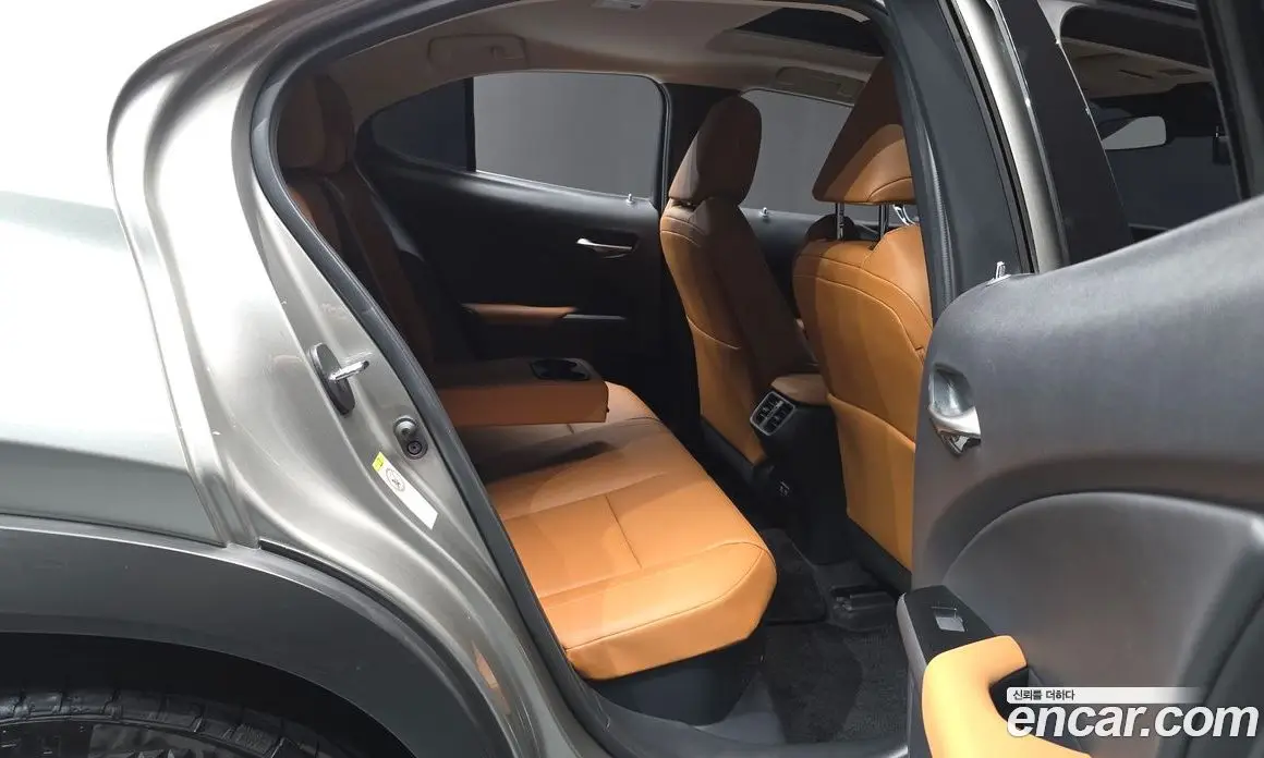 Lexus UX 2019 2.0 АКПП, фото 18 Lexus UX 2019 2.0 АКПП, фото 18