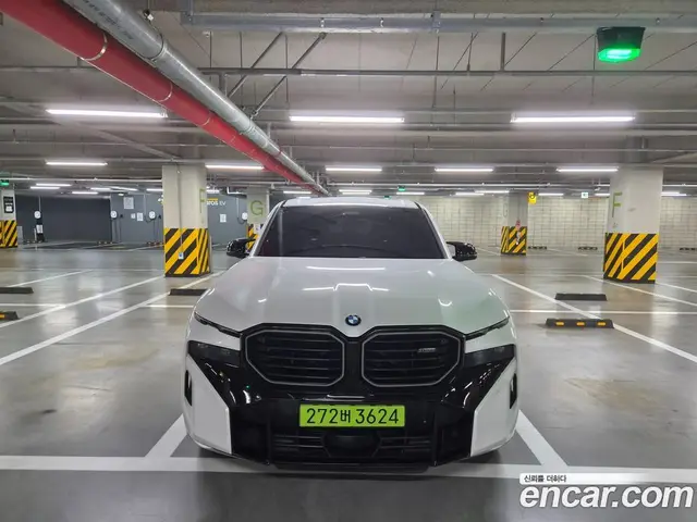 BMW XM, 2025, 12 710 км