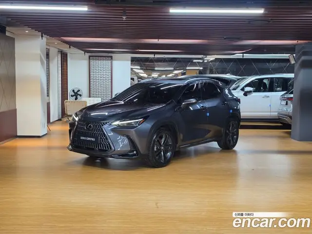 Lexus NX, 2024, 62 287 км