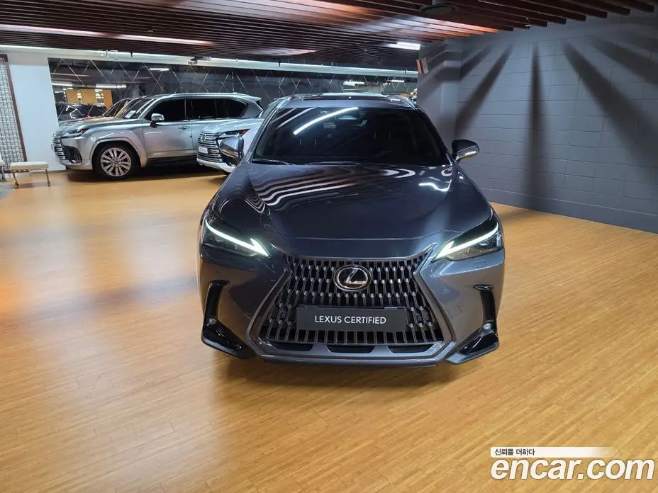 Lexus NX 2024 2.5 вариатор, фото 3 Lexus NX 2024 2.5 вариатор, фото 3