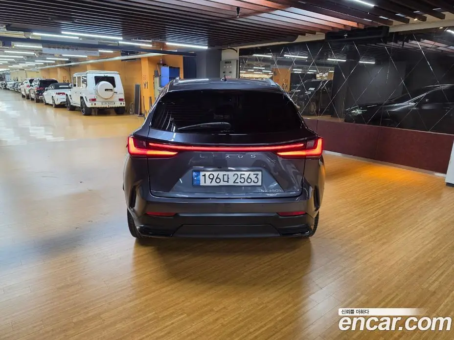 Lexus NX 2024 2.5 вариатор, фото 4 Lexus NX 2024 2.5 вариатор, фото 4
