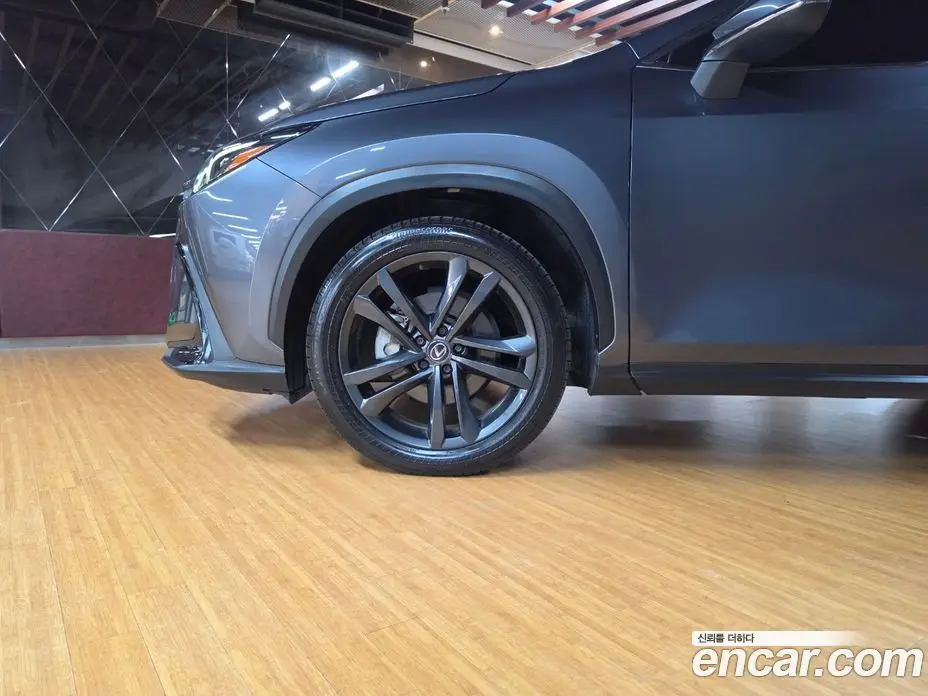 Lexus NX 2024 2.5 вариатор, фото 5 Lexus NX 2024 2.5 вариатор, фото 5