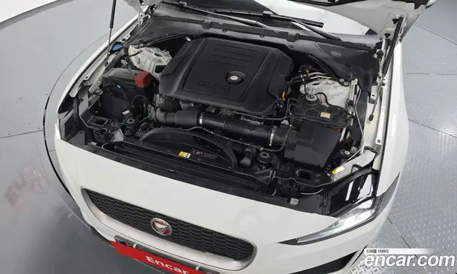 Jaguar XE 2020 2.0 АКПП, миниатюра 5
