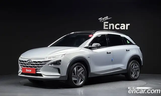 Hyundai Nexo, 2020, 38 677 км