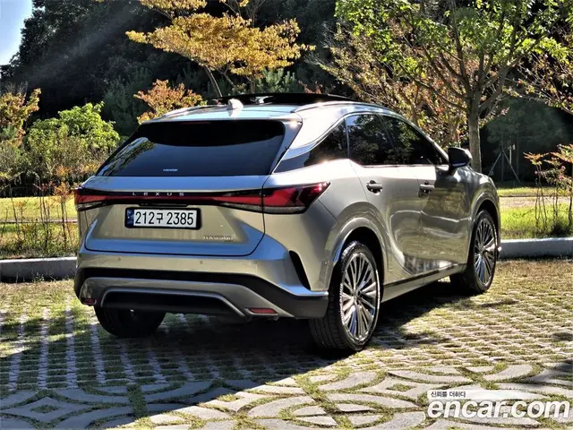 Lexus RX 2024 2.5 АКПП, миниатюра 2
