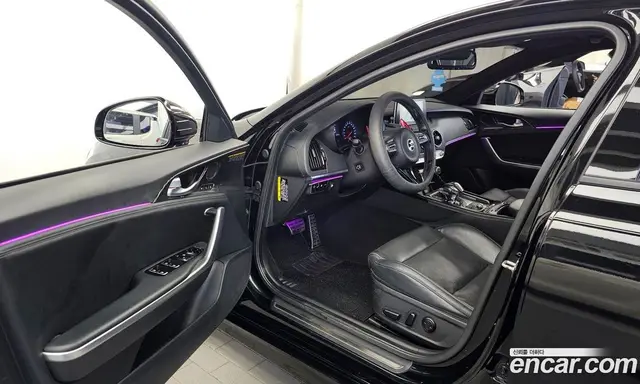 Kia Stinger 2018 2.0 АКПП, миниатюра 10