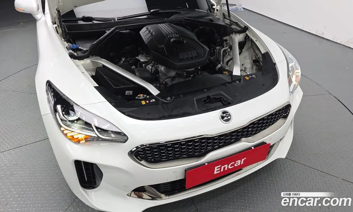 Kia Stinger 2017 2.0 АКПП, фото 6