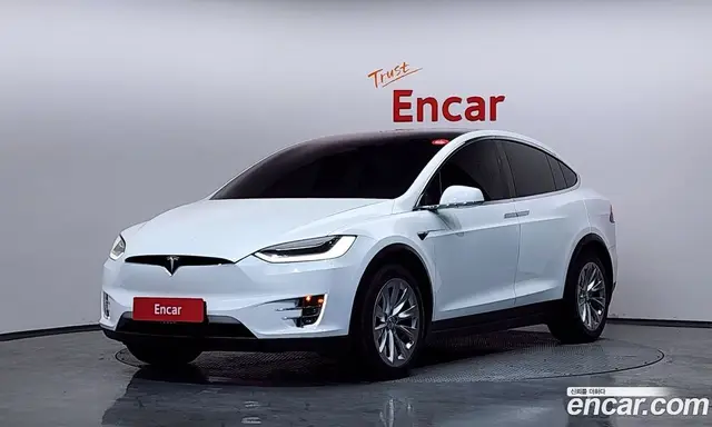Tesla Model X, 2019, 68 707 км