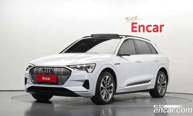 Audi e-tron, 2020, 119 979 км
