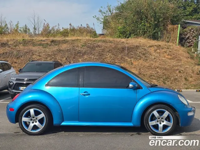 Volkswagen Beetle 2004 2.0 АКПП, миниатюра 8
