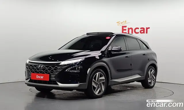 Hyundai Nexo, 2022, 22 963 км