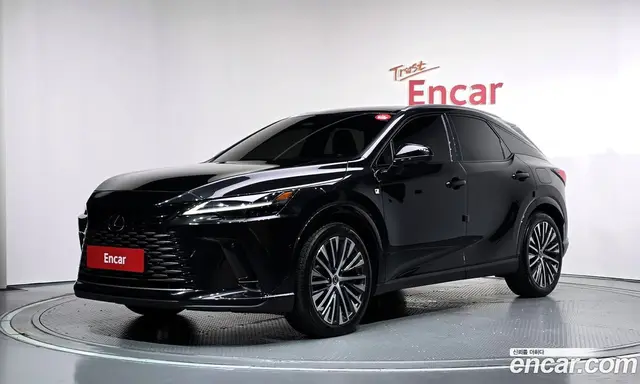Lexus RX, 2024, 48 252 км